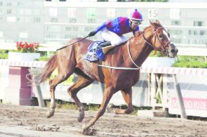 Big Daddy (CHI) Foto Cortesía Turf Diario