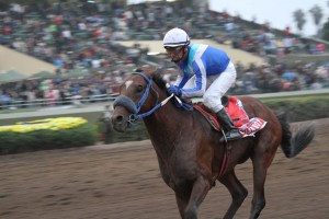 El veterano Kodiak Boy (PER) se impuso en el Clásico Jockey Club del Perú Foto Cortesía de El Comercio