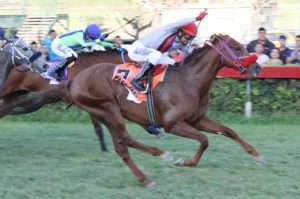 Paso Real (PER) Foto Cortesia de TodoGalope