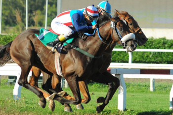 Shampain (ARG) Foto Cortesqa de Turf Diario