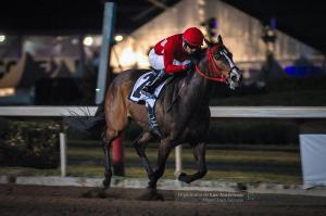 My Great Fantasy (USA) Foto Cortesía de Miguel Angel Espinoza